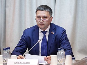 Председатель Комитета по экологии, природным ресурсам и охране окружающей среды Дмитрий Кобылкин