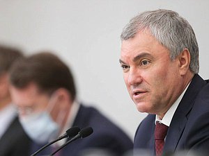 Председатель Государственной Думы Вячеслав Володин