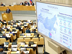 Парламентские слушания на тему «Проблемы и перспективы законодательного регулирования многоцелевого использования лесных ресурсов»