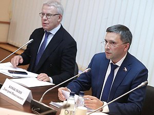 Председатель Комитета по экологии, природным ресурсам и охране окружающей среды Дмитрий Кобылкин и Первый заместитель Председателя Комитета Вячеслав Фетисов