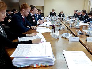 Заседание Комитета по федеративному устройству и вопросам местного самоуправления.