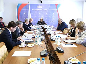 Заседание Комитета по развитию гражданского общества, вопросам общественных и религиозных объединений