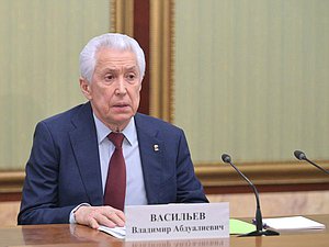 Руководитель фракции «Единая Россия» Владимир Васильев. Фото Пресс-службы Правительства РФ