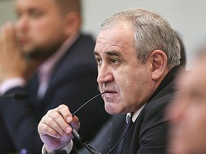 Deputy Chairman of the State Duma Sergei Neverov