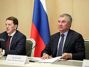 Председатель Государственной Думы Вячеслав Володин