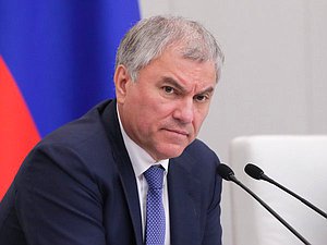 Председатель Государственной Думы Вячеслав Володин