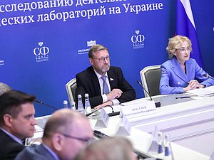 Deputy Speaker of the Federation Council Konstantin Kosachev and Deputy Chairwoman of the State Duma Irina Yarovaya