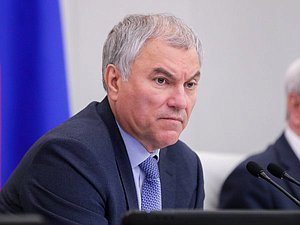 Председатель Государственной Думы Вячеслав Володин