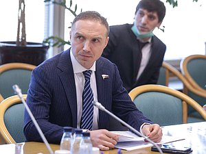 Заместитель Председателя Комитета по развитию Дальнего Востока и Арктики Антон Басанский