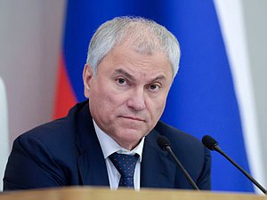 Председатель Государственной Думы Вячеслав Володин
