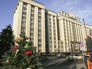 Дума Новый год елка здание