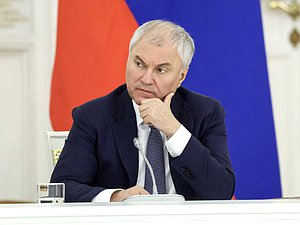 Председатель Государственной Думы Вячеслав Володин
