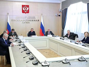 Совещание Председателя Государственной Думы Вячеслава Володина с Министром энергетики РФ Александром Новаком по вопросам о горюче-смазочных материалах, ситуации на нефтяном рынке и другим вопросам энергетики (в режиме видеоконференции)