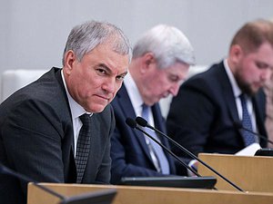 Председатель Государственной Думы Вячеслав Володин