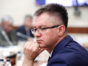 Заместитель Председателя Комитета по энергетике Дмитрий Исламов