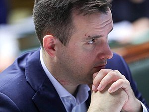 Председатель Комитета по малому и среднему предпринимательству Александр Демин