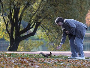 парк белка животные природа