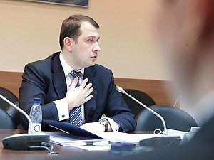 Заместитель Министра экономического развития РФ Илья Торосов