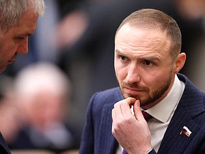 Заместитель Председателя Комитета по развитию Дальнего Востока и Арктики Антон Басанский