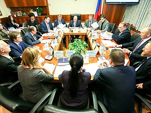 Заседание Комитета по развитию гражданского общества, вопросам общественных и религиозных объединений