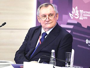 Председатель Комитета по энергетике Николай Шульгинов