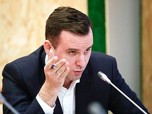 Председатель Комитета по малому и среднему предпринимательству Александр Демин