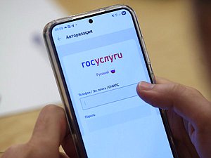 телефон смартфон госуслуги