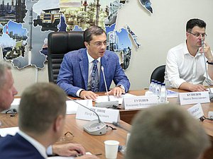 Председатель Комитета по промышленности и торговле Владимир Гутенев