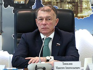 Председатель Комитета по экономической политике Максим Топилин