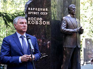 Председатель Государственной Думы Вячеслав Володин