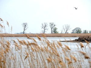 природа озеро осень вода