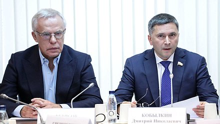 Председатель Комитета по экологии, природным ресурсам и охране окружающей среды Дмитрий Кобылкин и Первый заместитель Председателя Комитета Вячеслав Фетисов