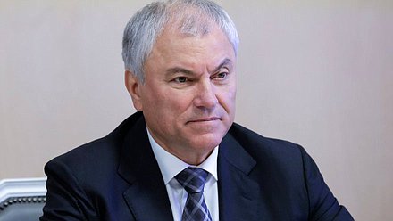 Председатель Государственной Думы Вячеслав Володин
