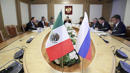 Заседание депутатской группы по связям с парламентом Мексики и встреча с послом Мексики в РФ