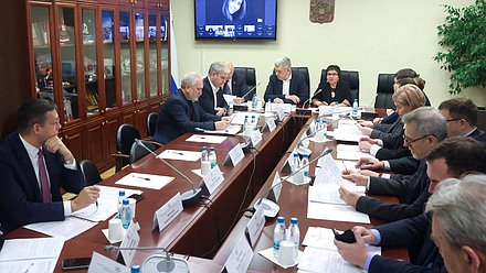 Заседание Рабочей группы по законодательному обеспечению защиты прав коренных малочисленных народов Севера, Сибири и Дальнего Востока