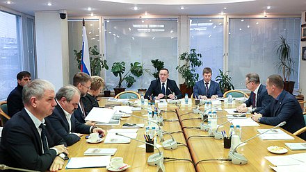 Заседание Комитета по развитию Дальнего Востока и Арктики