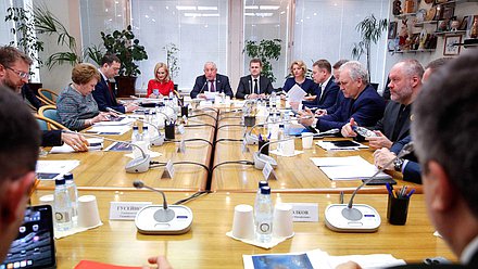 Встреча членов Комитета по развитию Дальнего Востока и Арктики с Министром по развитию Дальнего Востока и Арктики Алексеем Чекунковым