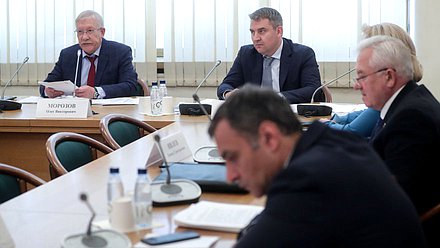 Председатель Комитета по контролю Олег Морозов и заместитель Председателя Комитета Дмитрий Ламейкин