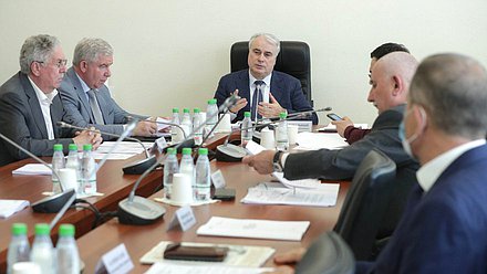 Заседание Комитета по энергетике