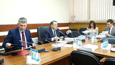 Министр экономического развития РФ Максим Решетников и Председатель Комитета по бюджету и налогам Андрей Макаров