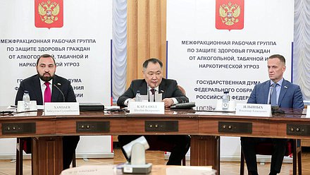 Член Комитета по безопасности и противодействию коррупции Бийсултан Хамзаев, заместитель Председателя Государственной Думы Шолбан Кара-оол и член Комитета по развитию Дальнего Востока и Арктики Владимир Ильиных