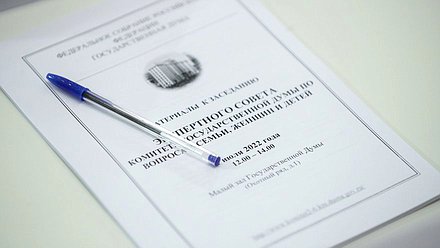 Заседание экспертного совета Комитета по вопросам семьи, женщин и детей