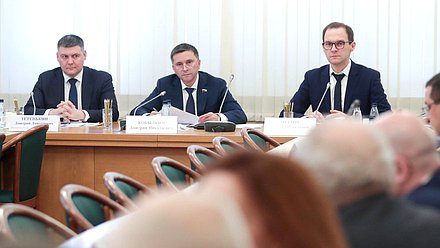Заместитель Министра природных ресурсов и экологии РФ Дмитрий Тетенькин, Председатель Комитета по экологии, природным ресурсам и охране окружающей среды Дмитрий Кобылкин и руководитель Федерального агентства по недропользованию Евгений Петров