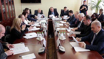 Заседание Комитета по делам национальностей