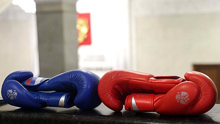 бокс перчатки боксер спорт