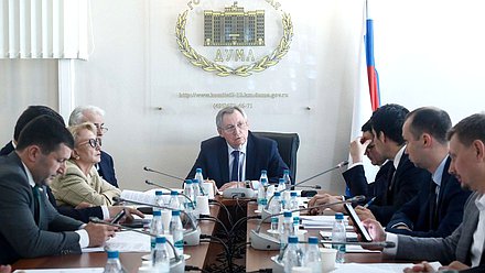 Председатель Комитета по энергетике Николай Шульгинов