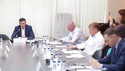 Круглый стол фракции партии «Новые люди» на тему «Параллельный импорт: как защитить граждан от контрафакта и фальсификации»