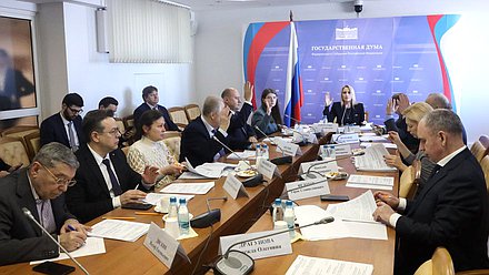 Заседание Комитета по развитию гражданского общества, вопросам общественных и религиозных объединений