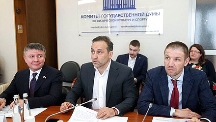 Председатель Комитета по физической культуре и спорту Дмитрий Свищев и заместители Председателя Комитета Амир Хамитов и Дмитрий Пирог