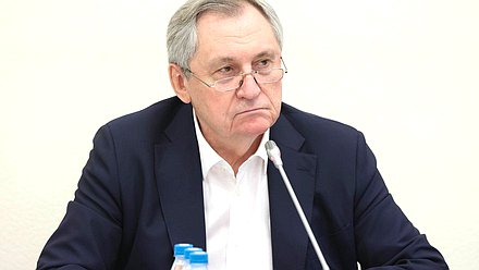 Председатель Комитета по энергетике Николай Шульгинов